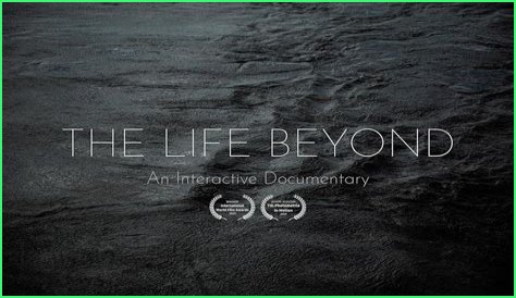 Dave Matthews's Personal Journey: Uncovering The Life Beyond The Music